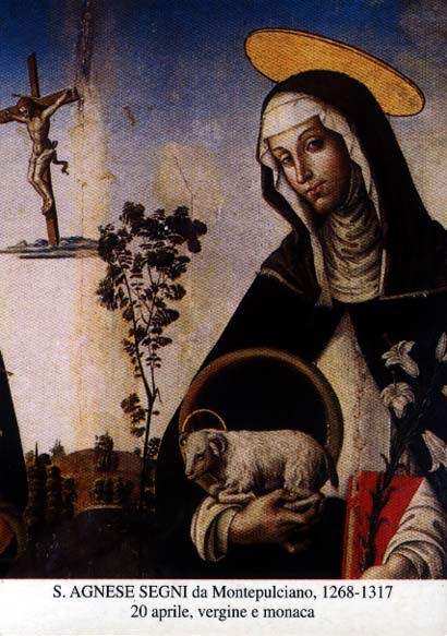 Santa Inés Montepulciano
